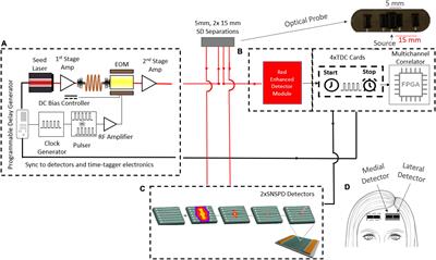 Functional Time Domain Diffuse Correlation Spectroscopy